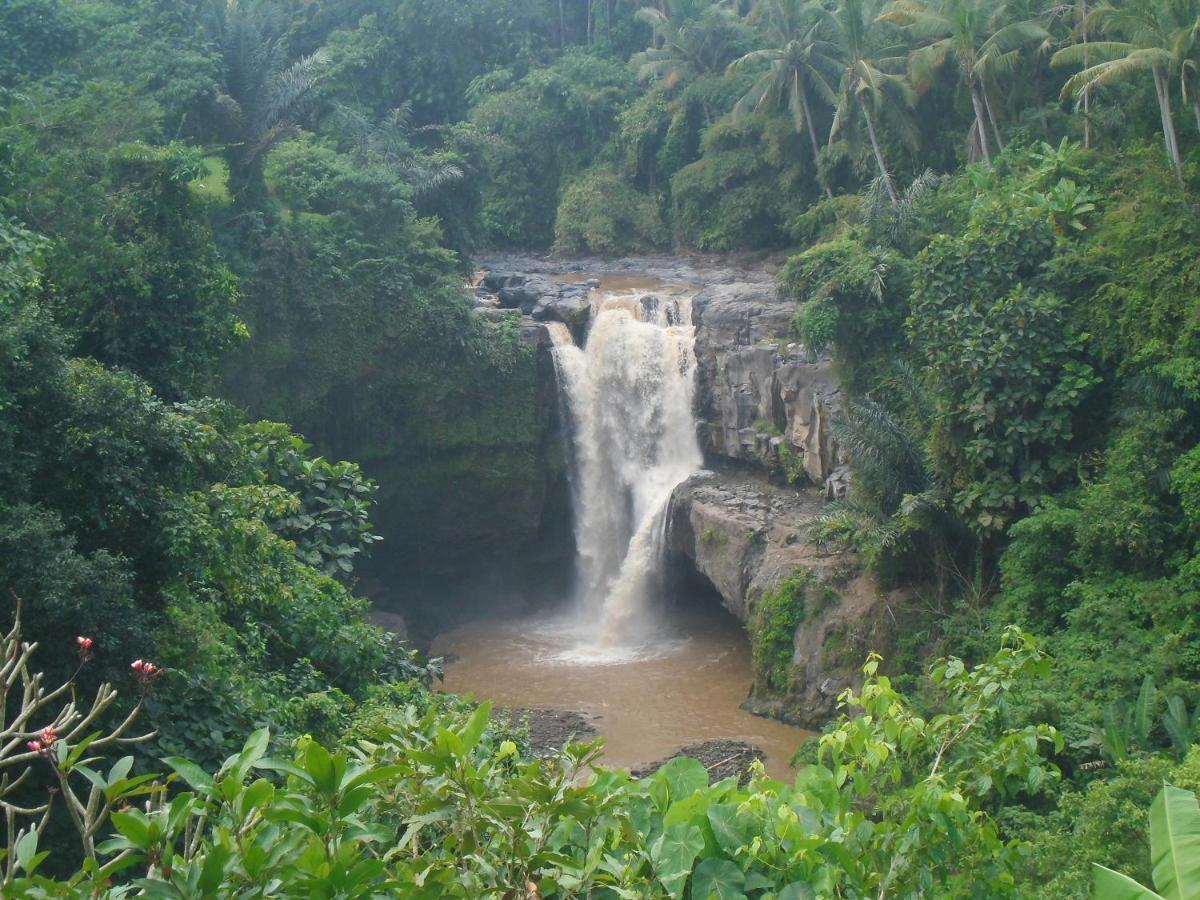 Waterfall Guest House สุขาวาตี ภายนอก รูปภาพ